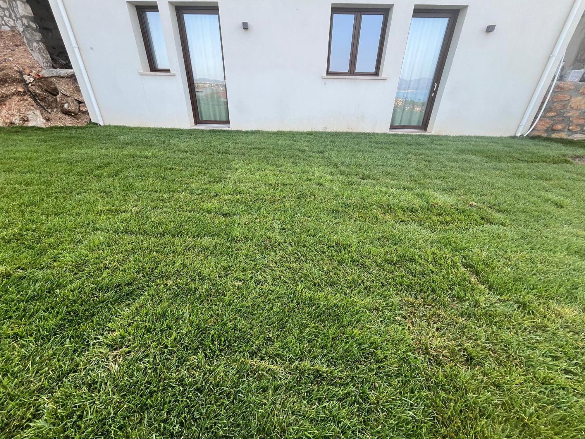 Tenuta Rapillo كاستيلاّماري ديل غو المظهر الخارجي الصورة